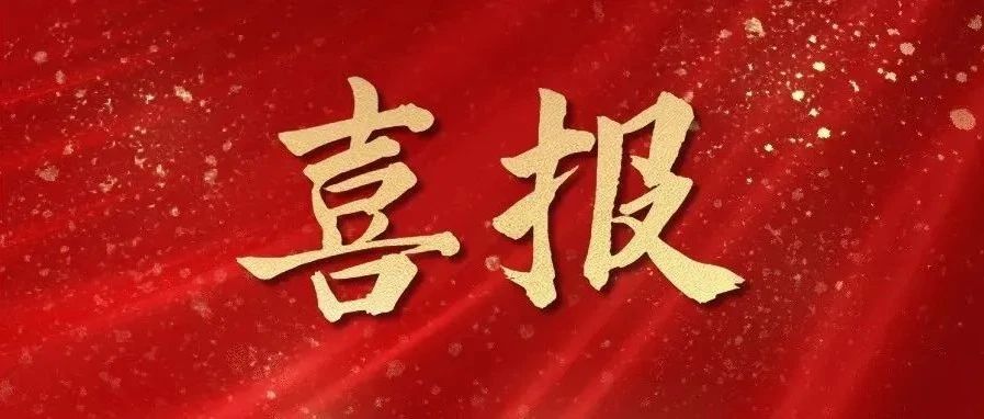 喜报!“信连心”志愿服务项目荣获2026年度枣庄市志愿服务项目大赛铜奖